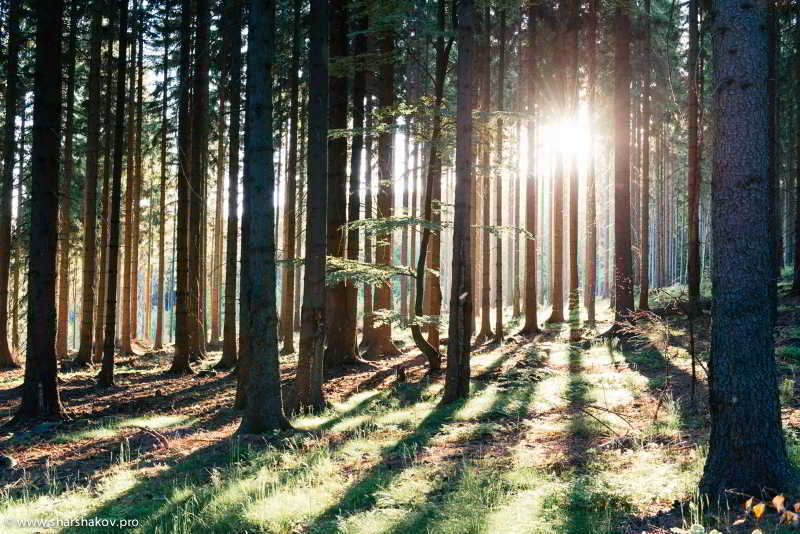 Zamek Luzec & Wellness